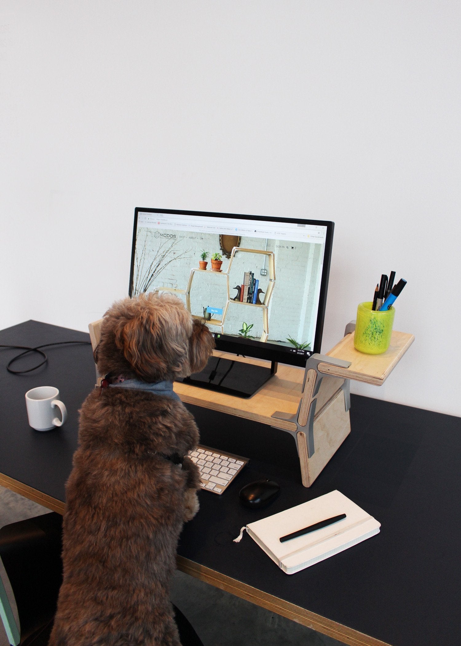Modular Monitor Laptop Dachshund Stand by Modos Furniture for Home or Office
